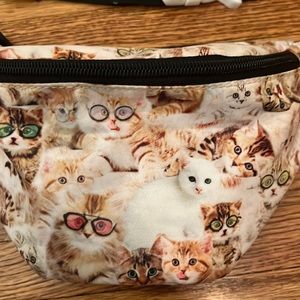 Crazy cat Fanny pack